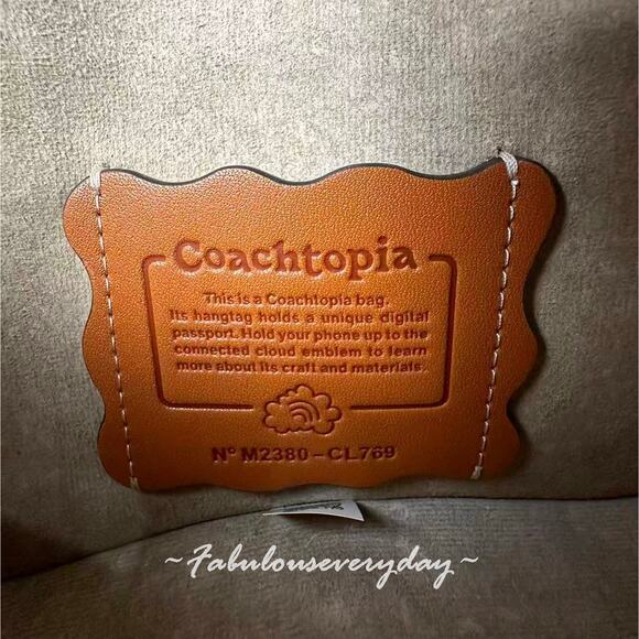 Coach Coachtopia Checkerboard Upcrafted Leather Wavy Dinky Crossbody Bag CL769 - Picture 9 of 9